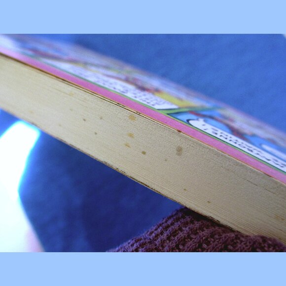 Book: My Perfect Life, by Lynda Barry - Picture 10 of 11